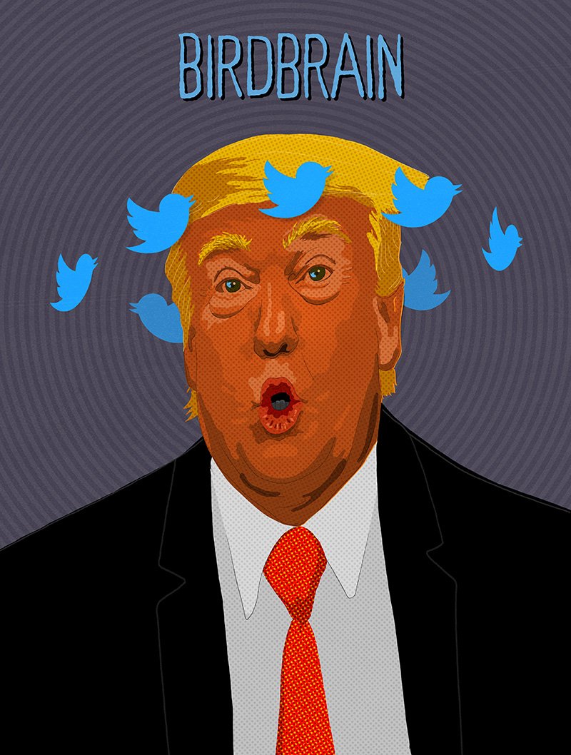 birdbrain