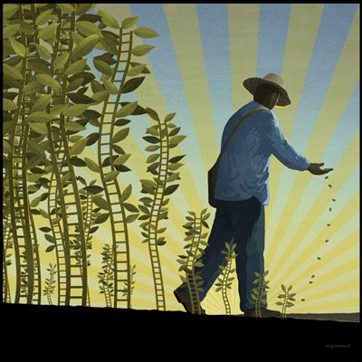 planting seeds