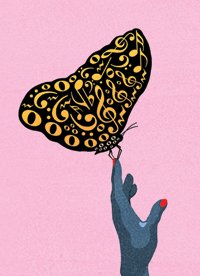 butterfly