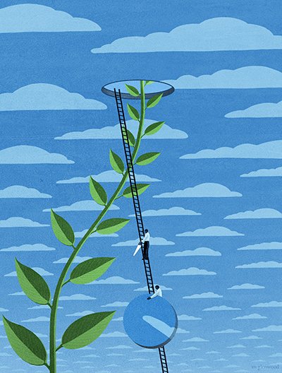 Stock image of plant and sky