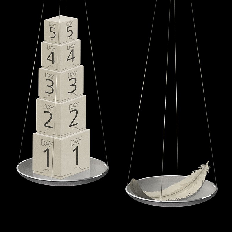 Scale and feather illustration