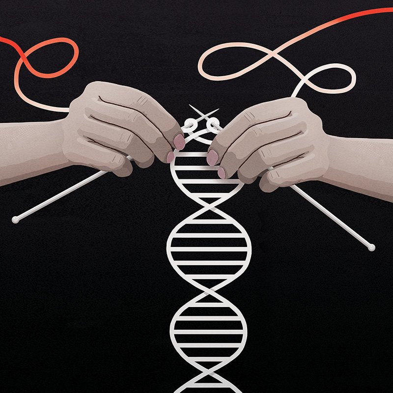 Illustration of DNA being woven with knitting needles