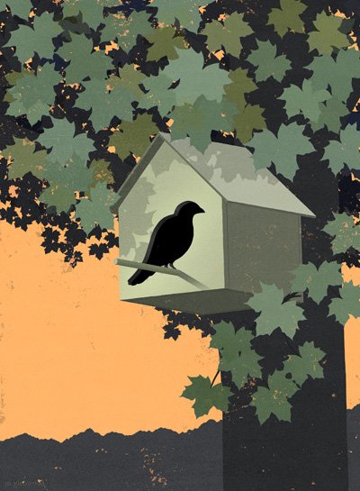 CQ53 Birdhouse